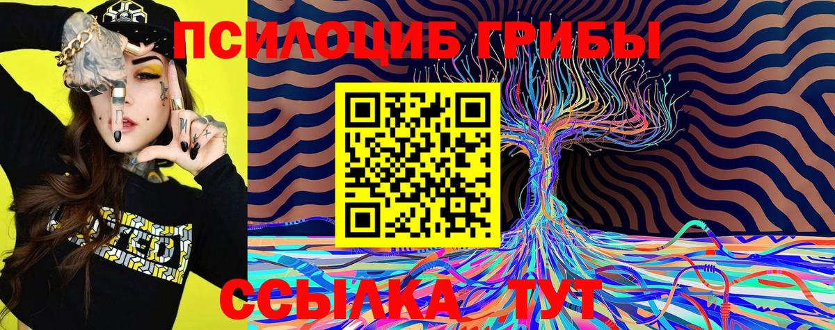 Галлюциногенные грибы MAGIC MUSHROOMS Химки